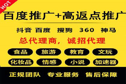 SEM推广案例：揭秘高ROI背后的策略与实践